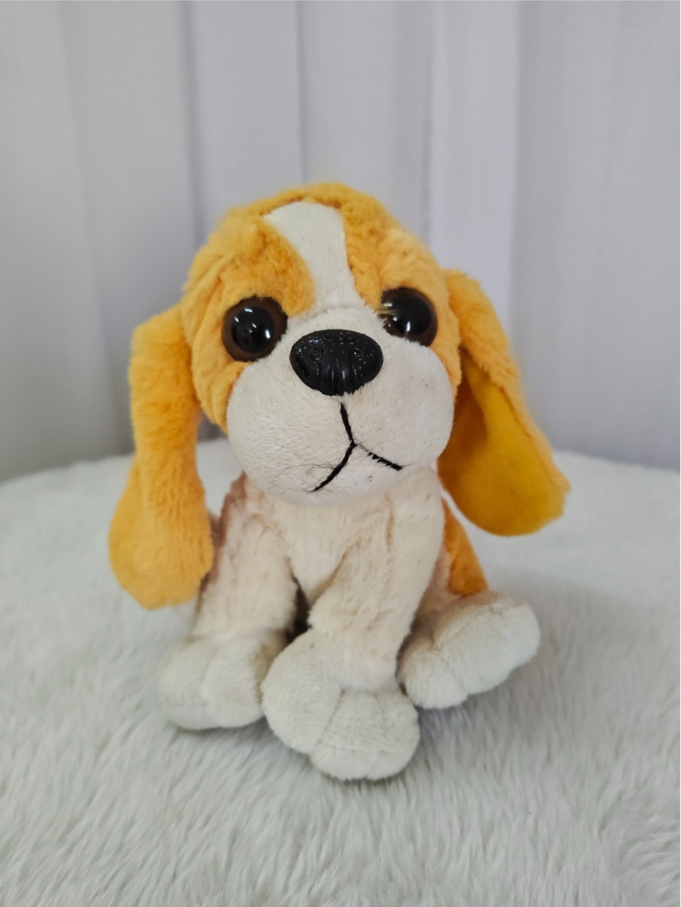 Cachorrinho - Três Marias Festas