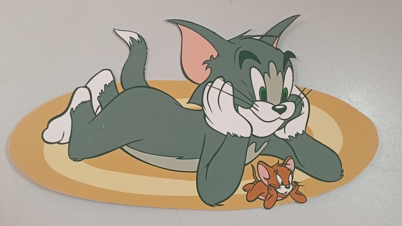 Display Ps - Tom E Jerry Mod1 - Três Marias Festas