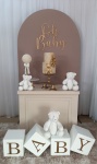 Oh Baby Ursos - Chá Revelação, Aniversário Ou Chá de Bb - imagem 1