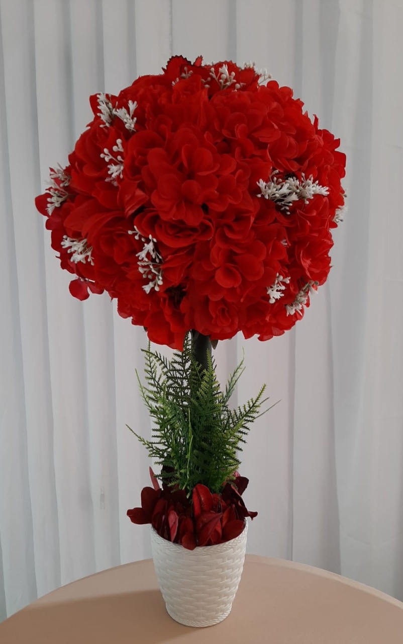 Flores Vermelha  - Três Marias Festas