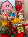 Festas Montadas Por Nossas Clientes - Fazendinha - imagem 2