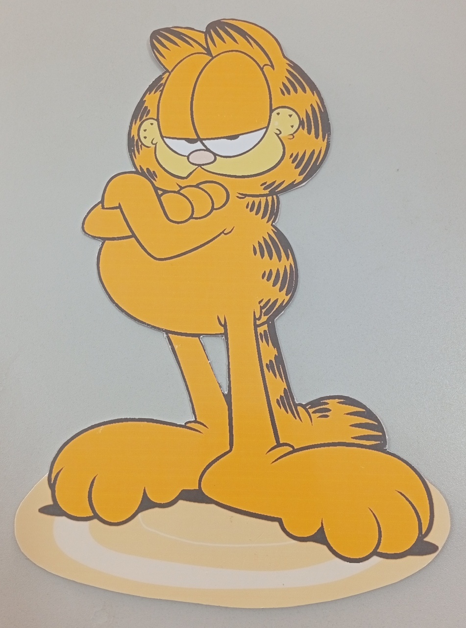 Display Ps - Garfield - Três Marias Festas