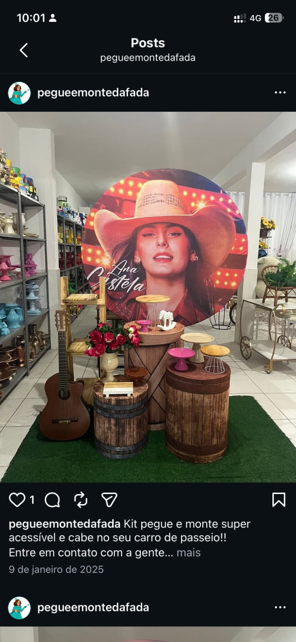 Ana Castela  Kit 2  - Pegue e monte da Fada Madrinha decorações 