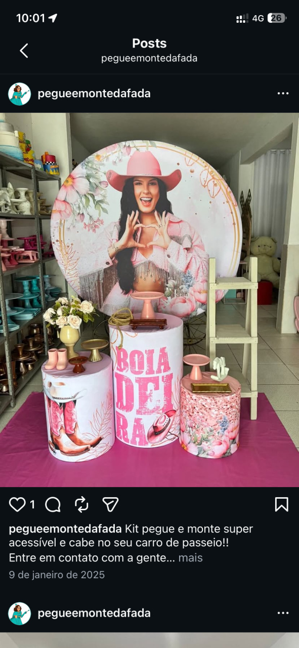 Ana Castela  Rosa Kit 2  - Pegue e monte da Fada Madrinha decorações 