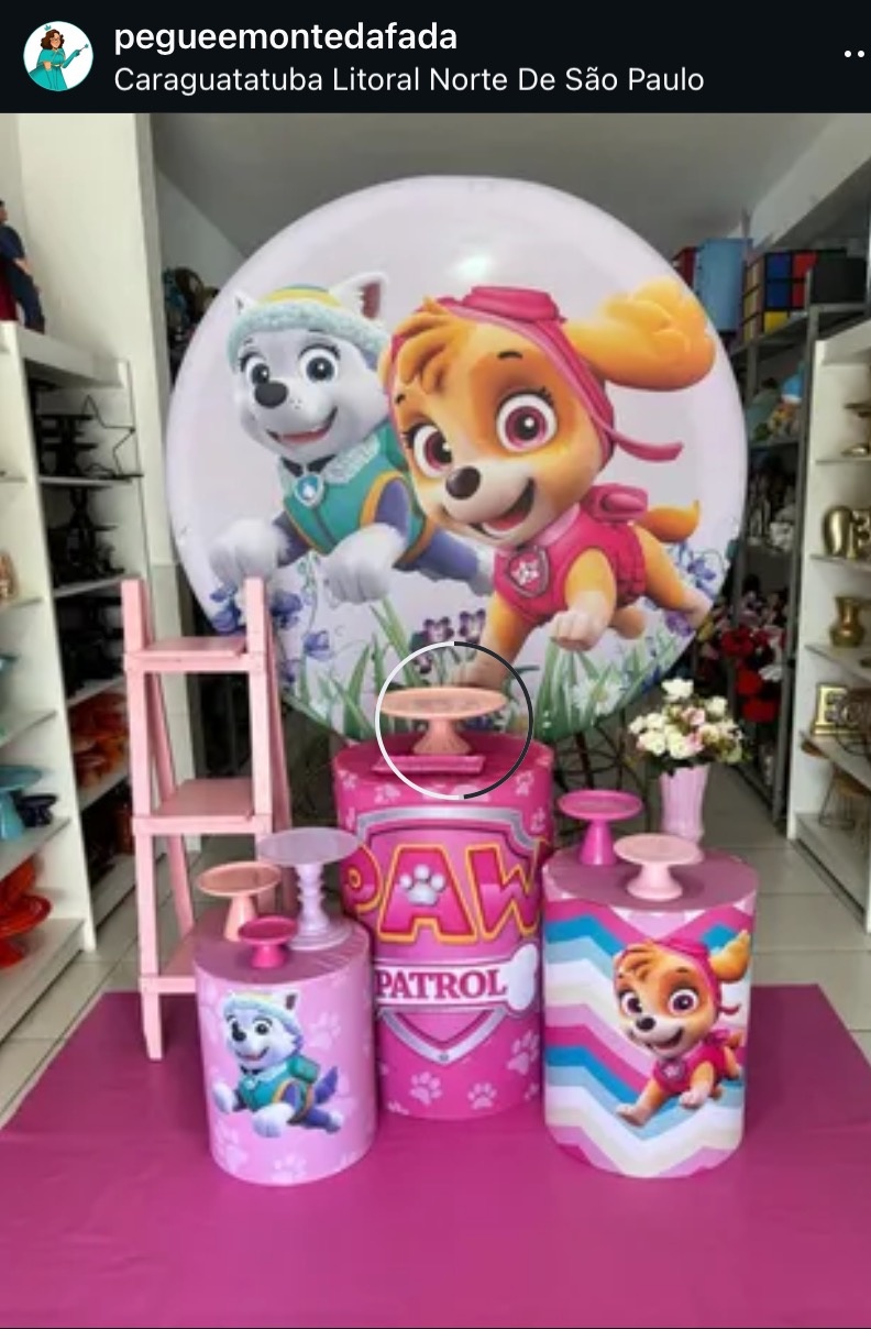 Patrulha Canina Skay  - Pegue e monte da Fada Madrinha decorações 
