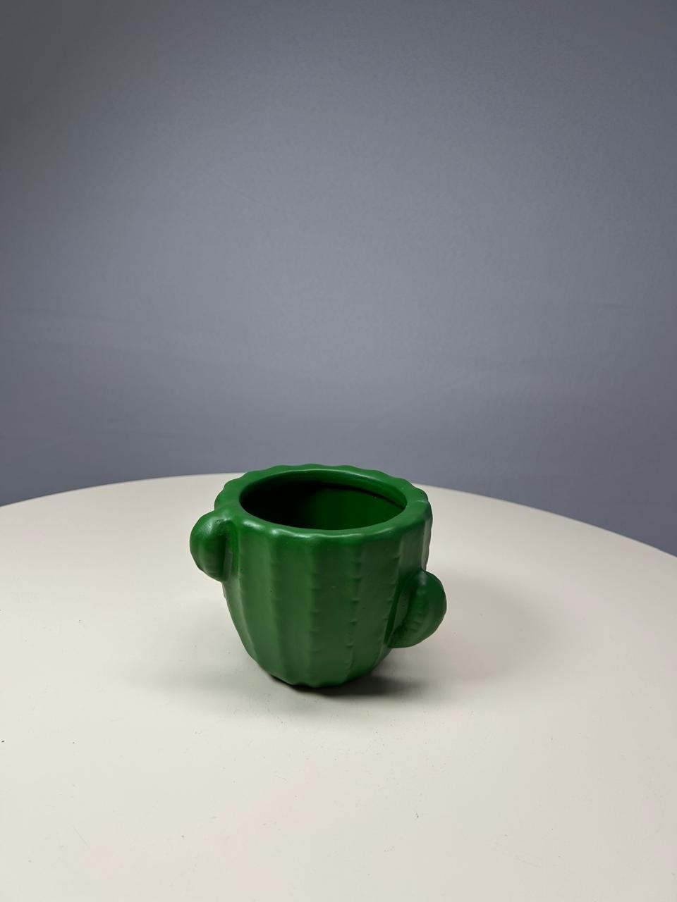 Vaso Cacto Verde Bandeira G - MAMÃE DECORA KIT PEGUE E MONTE 