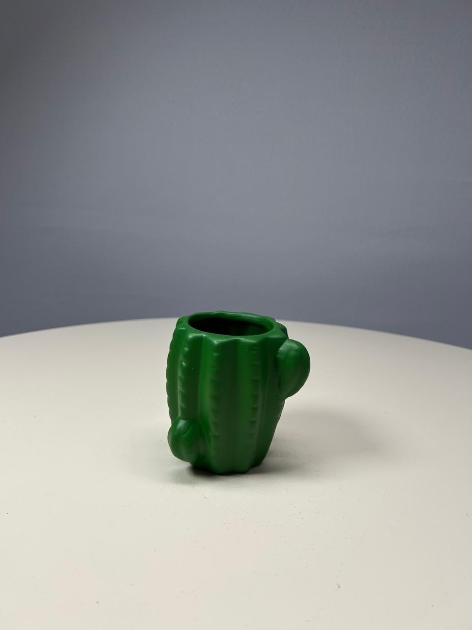 Vaso Cacto Verde Bandeira P - MAMÃE DECORA KIT PEGUE E MONTE 