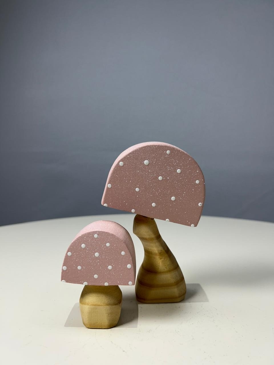 Cogumelos Rosa  - MAMÃE DECORA KIT PEGUE E MONTE 