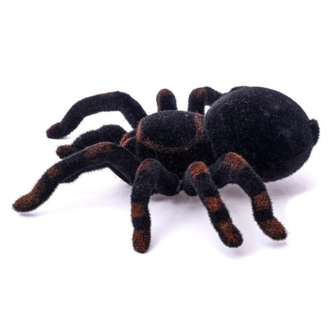 Aranha Listras Laranjas P - Decoração Halloween Recife