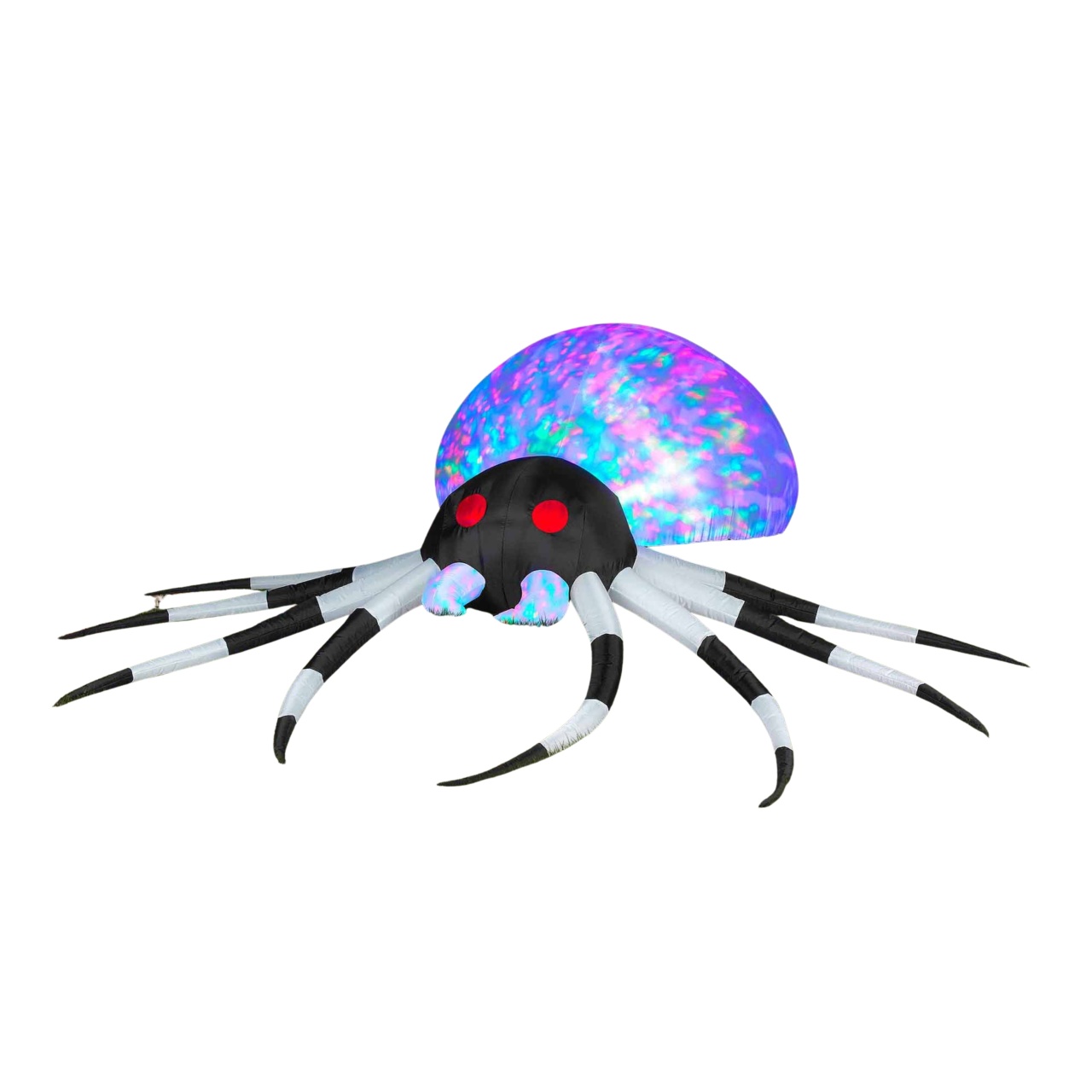 Aranha-Lobo - Decoração Halloween Recife