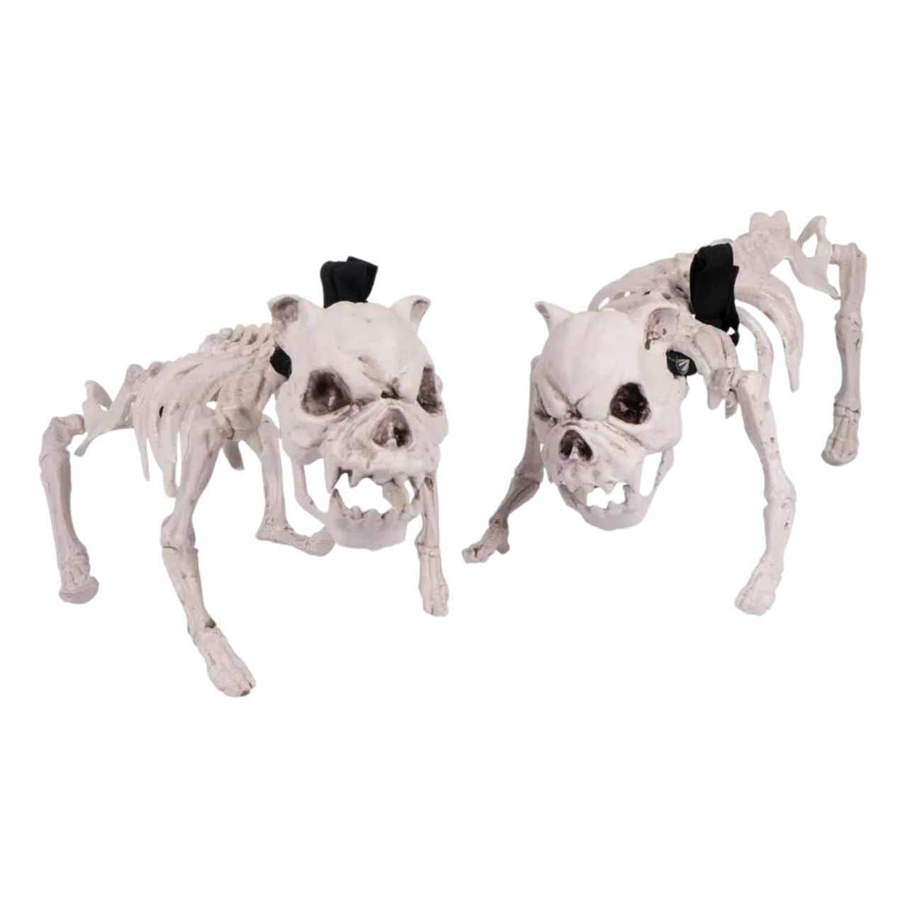Esqueleto Cachorro Bolt - Decoração Halloween Recife