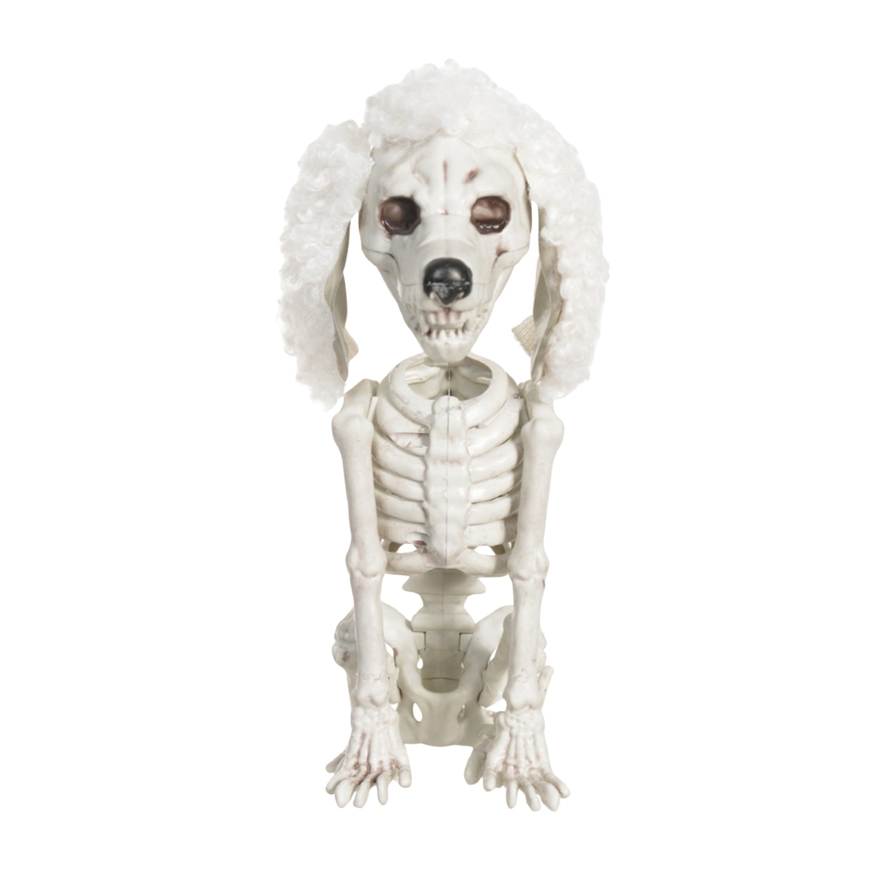 Esqueleto Cachorra Lola - Decoração Halloween Recife