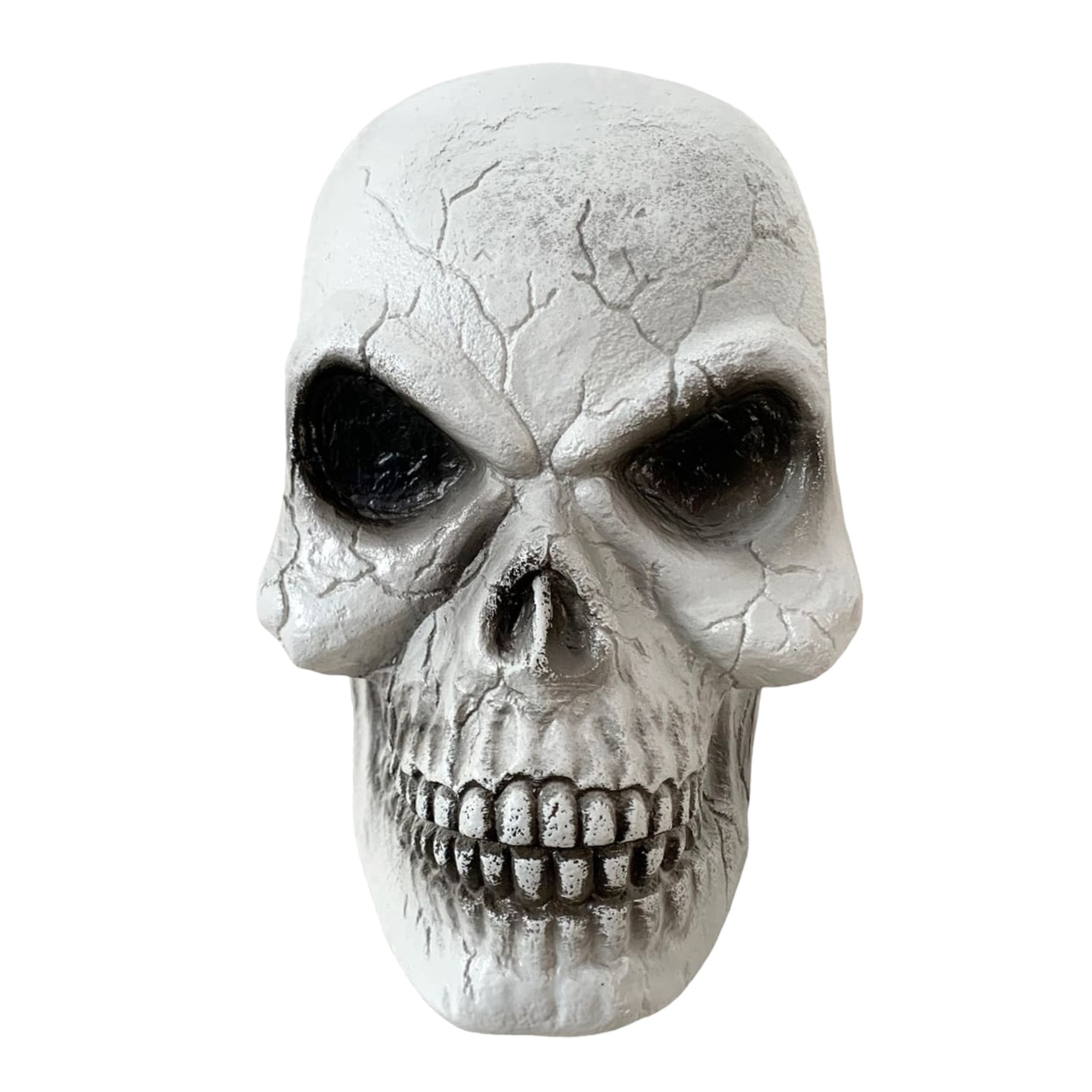 Crânio Joseph - Decoração Halloween Recife