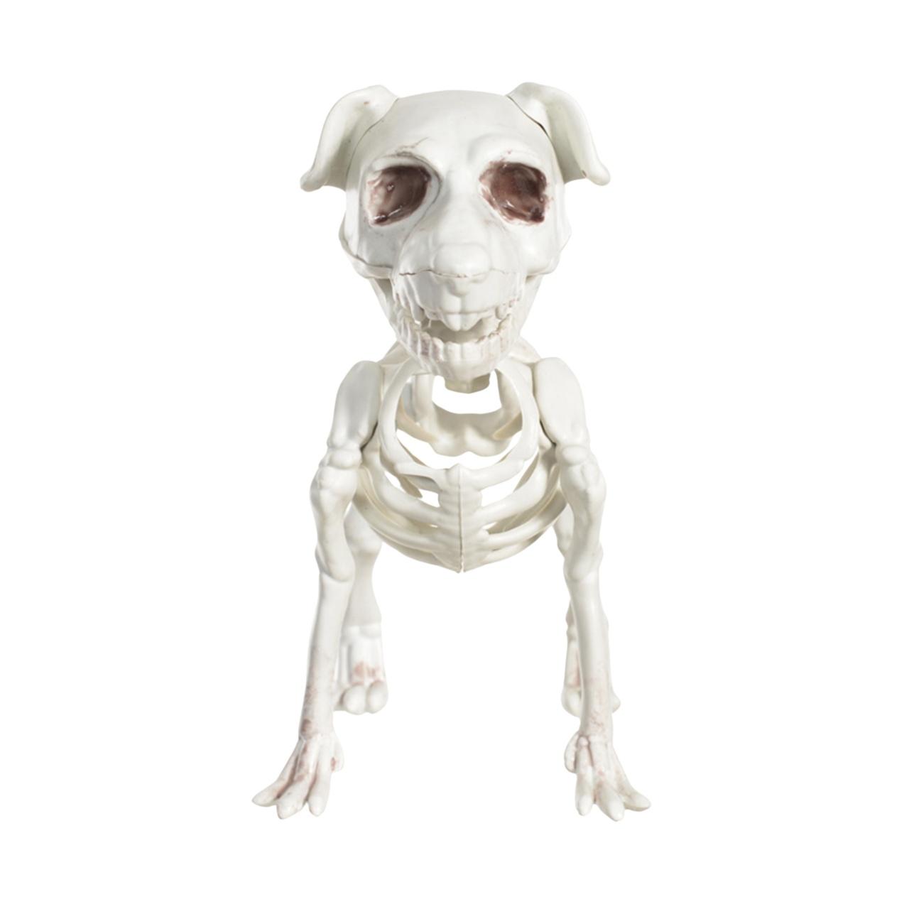 Esqueleto Cachorro Thor - Decoração Halloween Recife