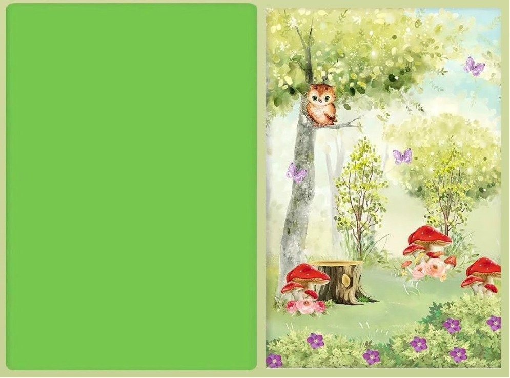 Verde Maça 02 Fundo Bosque Encantado Corujinha Painel Retangular 220X150Cm - FOCUSEVENTOSJATAI