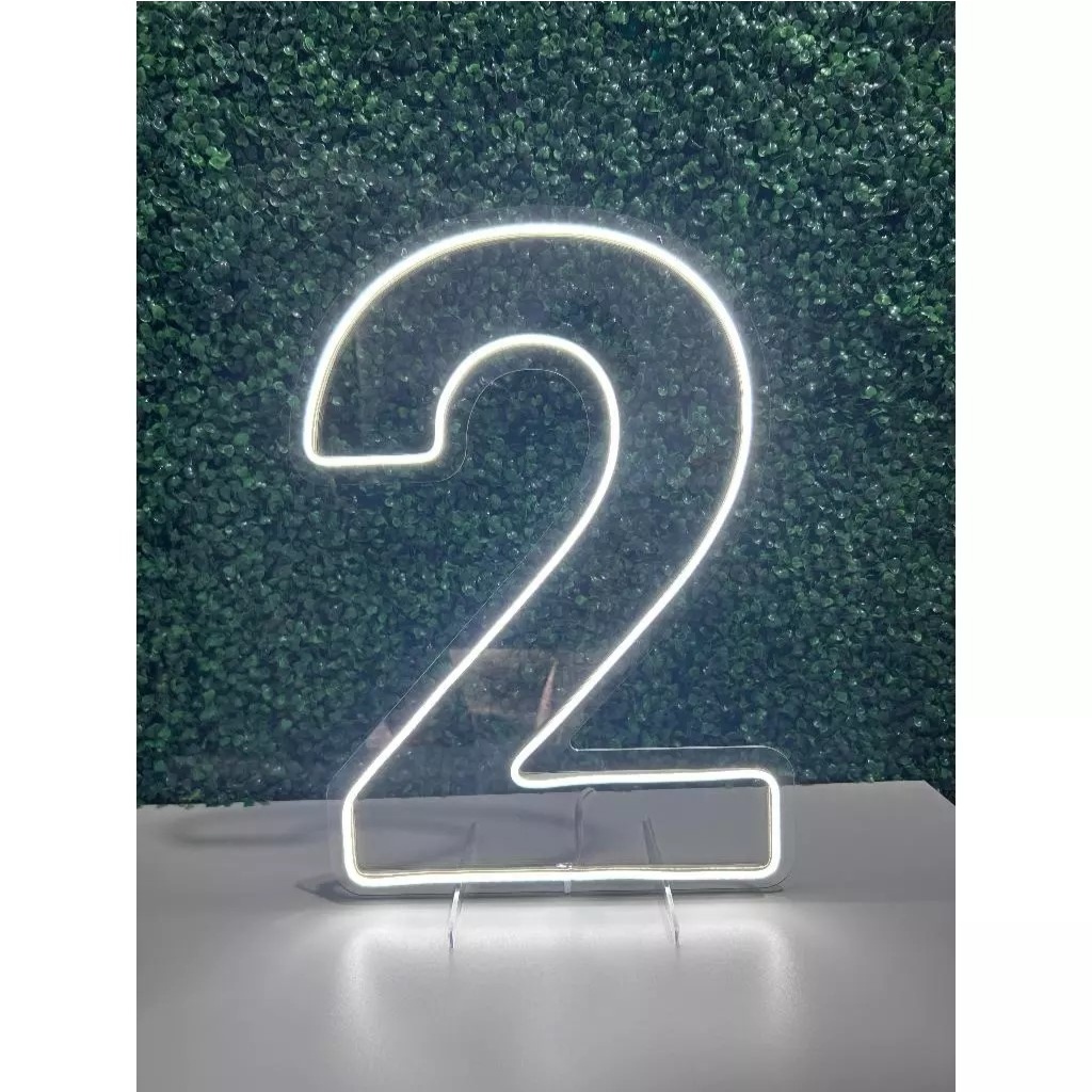 Led 2 Branco Frio 50X30Cm - FOCUSEVENTOSJATAI