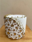 Maquete Onça Pintada 01 - imagem 2