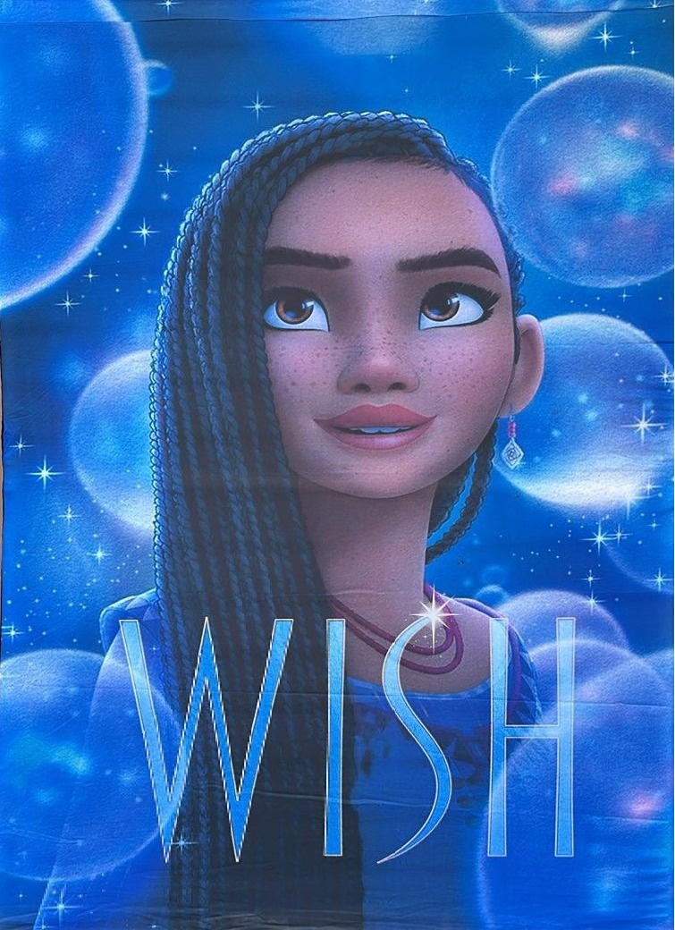 Wish Princesa Asha Fundo Preto Liso Painel Retangular 220X150Cm - FOCUSEVENTOSJATAI