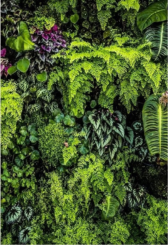 Folhagem Verde Samanbaia Painel Retangular 220X150Cm - FOCUSEVENTOSJATAI