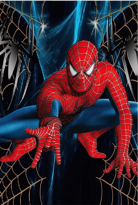 Homem Aranha Teias Painel Retangular 220X150Cms Fundo Preto - FOCUSEVENTOSJATAI