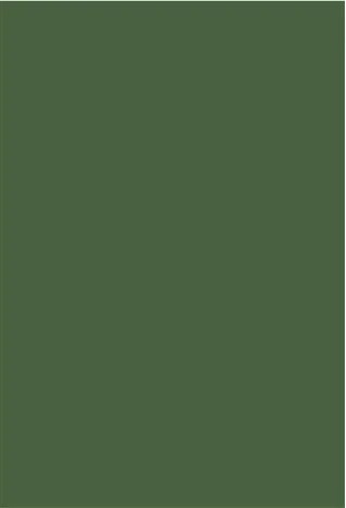 Verde Musgo Liso 01/02/03/04/05 Painel Retangular 220X150Cm - FOCUSEVENTOSJATAI