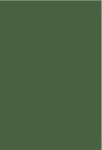 Verde Musgo Liso 01 Painel Redondo 150Cm - imagem 4