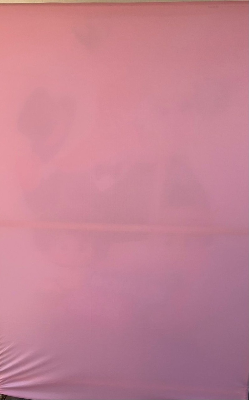 Rosa Claro Liso Fundo Mundo Bita Menina Colorido Painel Retangular 220X150Cm - FOCUSEVENTOSJATAI