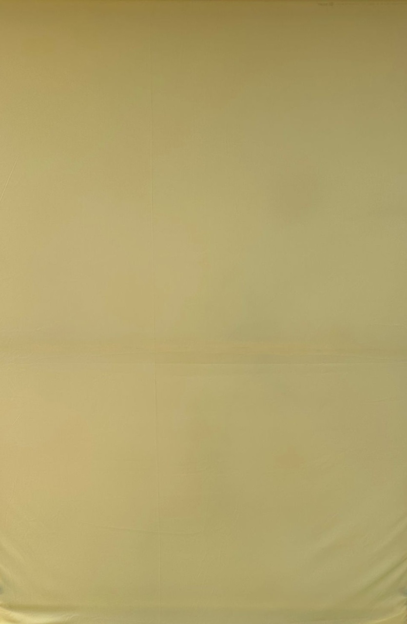 Amarelo Claro 01 Fundo Margarida 3D Fundo Rosa - Painel Retangular 220X150Cms - FOCUSEVENTOSJATAI