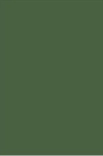 Verde Musgo Painel Retangular 220X150Cm - FOCUSEVENTOSJATAI