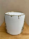 Maquete Onça Pintada 01 - imagem 3