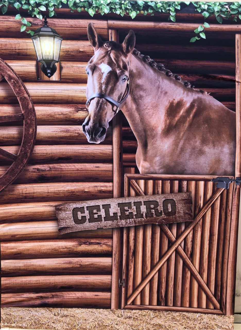 Country Haras 03 Cavalo Celeiro Painel Retangular 220X150Cm Fundo Preto Liso 47 - FOCUSEVENTOSJATAI