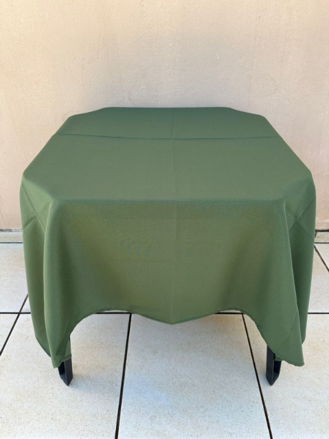 Forro Quadrado Verde Musgo Oxford 140X140Cm - FOCUSEVENTOSJATAI