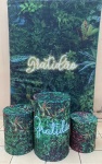 Gratidão Folhagem Crotos Painel Retangular 220X150Cm Fundo Verde Bandeira - imagem 2