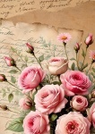 Cartas de Amor Floral Rosas Painel Retangular 220X150Cm - Fundo Rosa Goiaba - imagem 1