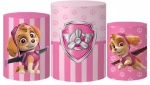 Patrulha Canina Skye Patina Rosa Cilindro Red Pmg - imagem 1