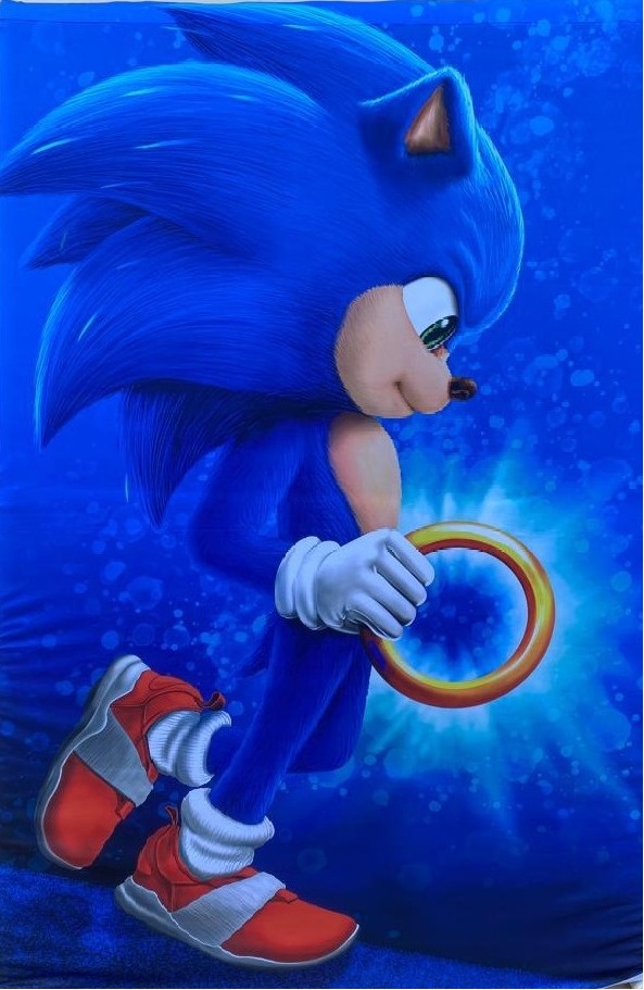 Sonic 01 Argola Dourado Painel Retangular 220X150Cm - FOCUSEVENTOSJATAI