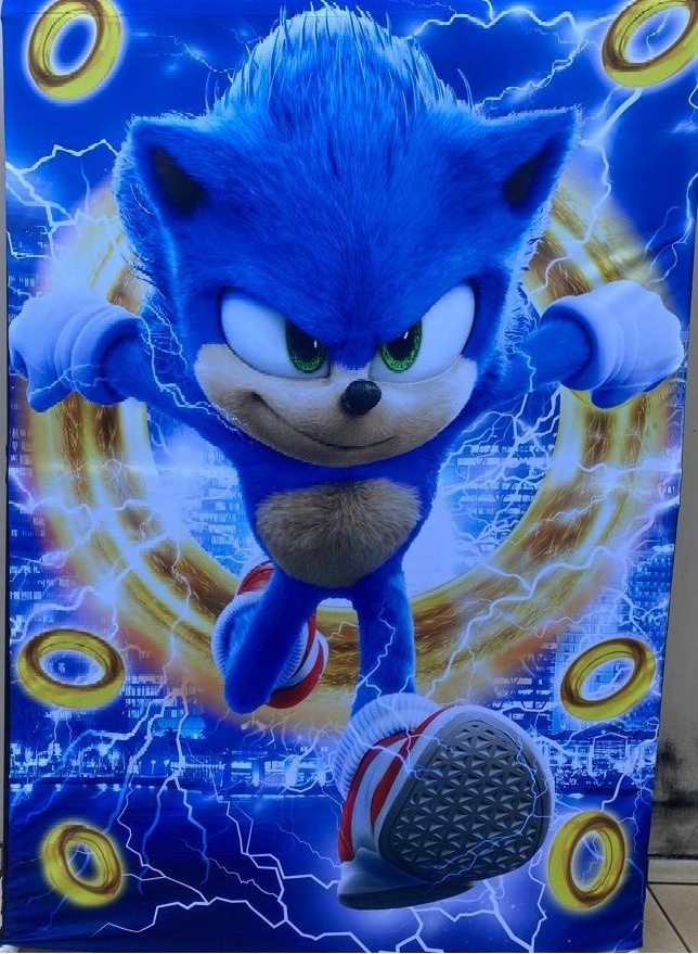 Sonic 7 Argolas Dourada Painel Retangular 220X150Cm - FOCUSEVENTOSJATAI
