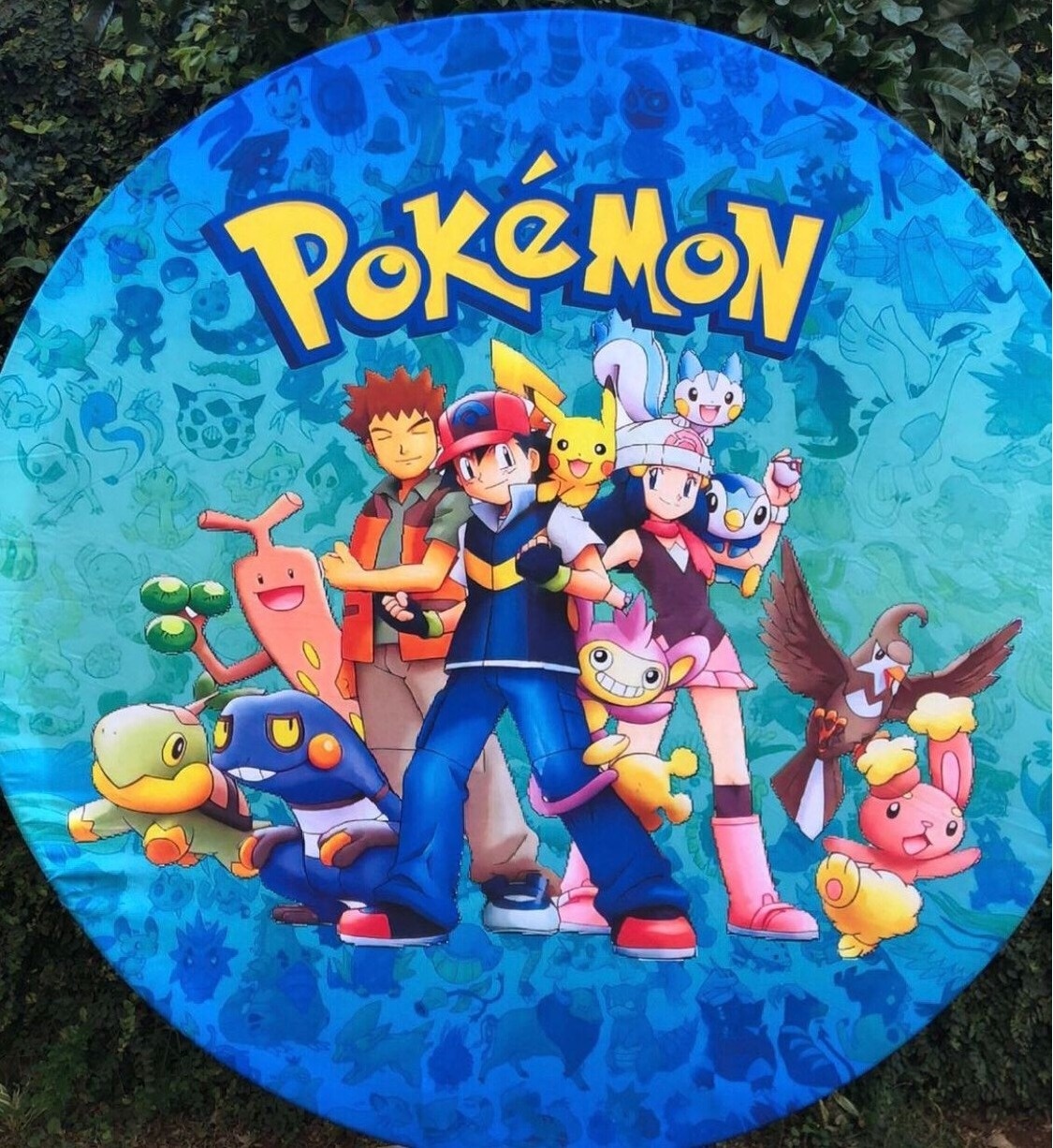 Pokemon E Amigos Painel Redondo 150Cm - FOCUSEVENTOSJATAI