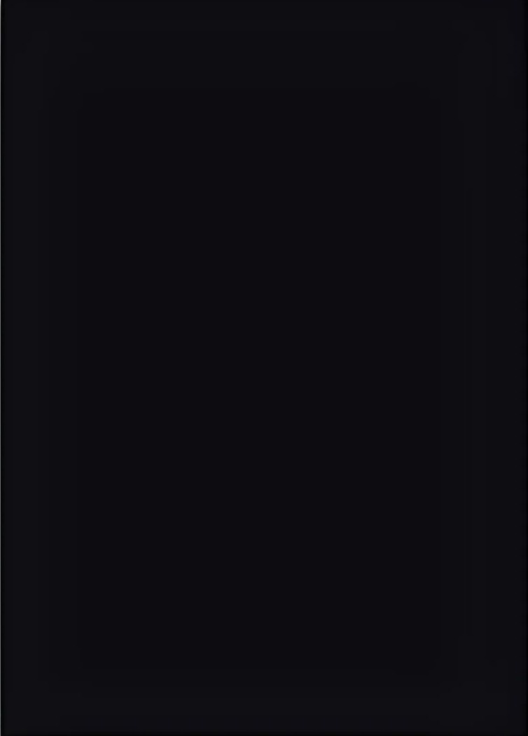 Preto Liso 01 Painel Retangular 220X150Cm Fundo Branco Liso 01 - FOCUSEVENTOSJATAI