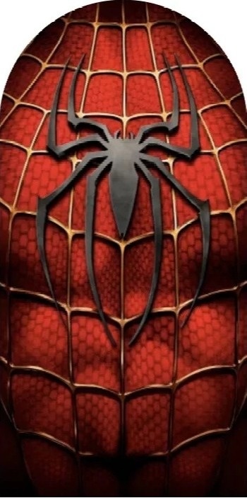 Homem Aranha Na Teia Painel Romano 200X100Cm - Fundo Preto - FOCUSEVENTOSJATAI