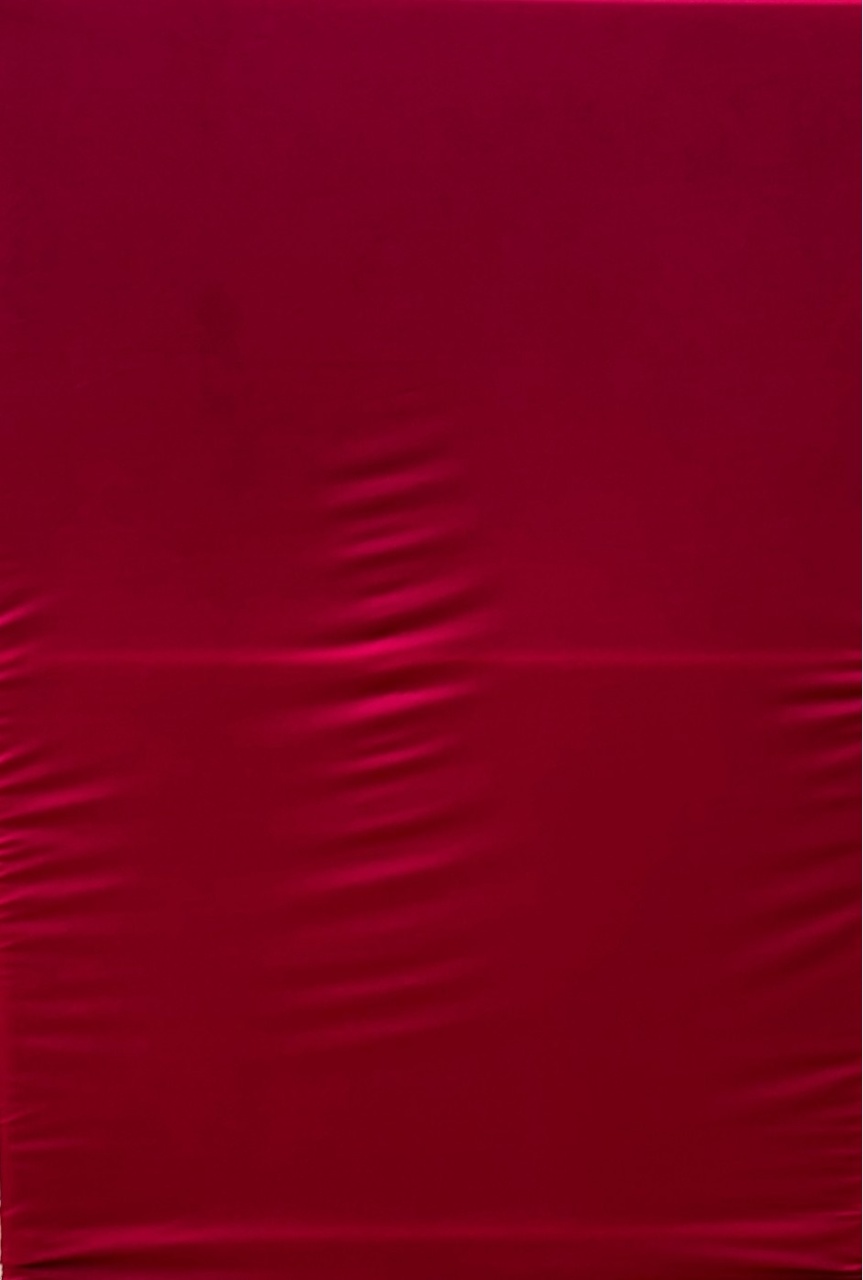 Vermelho Liso 01/02 Painel Retangular 220X150Cm - FOCUSEVENTOSJATAI