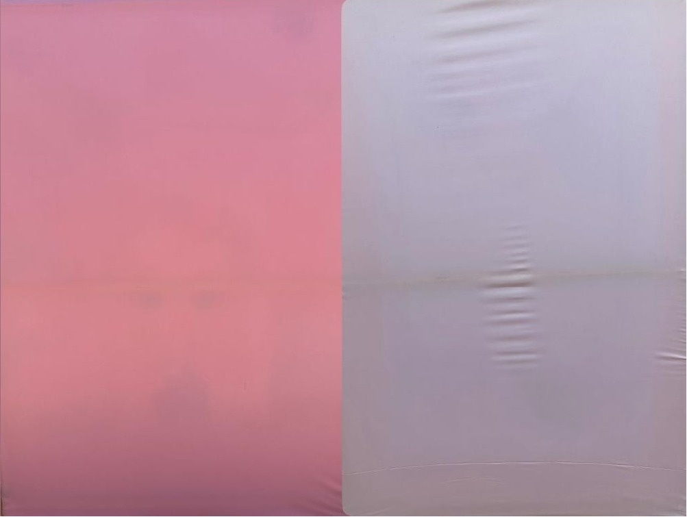 Rosa Bebê Painel Retanagular 220X150Cm Fundo Rosa Chiclete - FOCUSEVENTOSJATAI