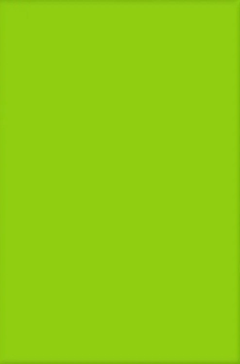 Verde Neon 01/02 Painel Retangular 220X150Cm Fundo Cocomelow  Balanço - FOCUSEVENTOSJATAI