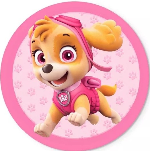 Patrulha Canina Skye Patinha Rosa Painel Redondo150Cm - FOCUSEVENTOSJATAI