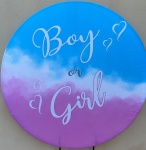Chá Revelação Boy Or Girl Rosa E Azul Painel Red150Cms - imagem 1