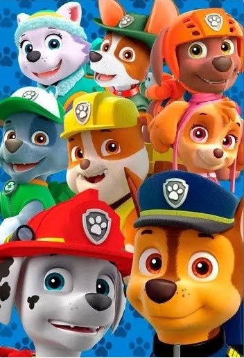 Patrulha Canina Turma Completa Painel Retangular 220X150Cm - FOCUSEVENTOSJATAI