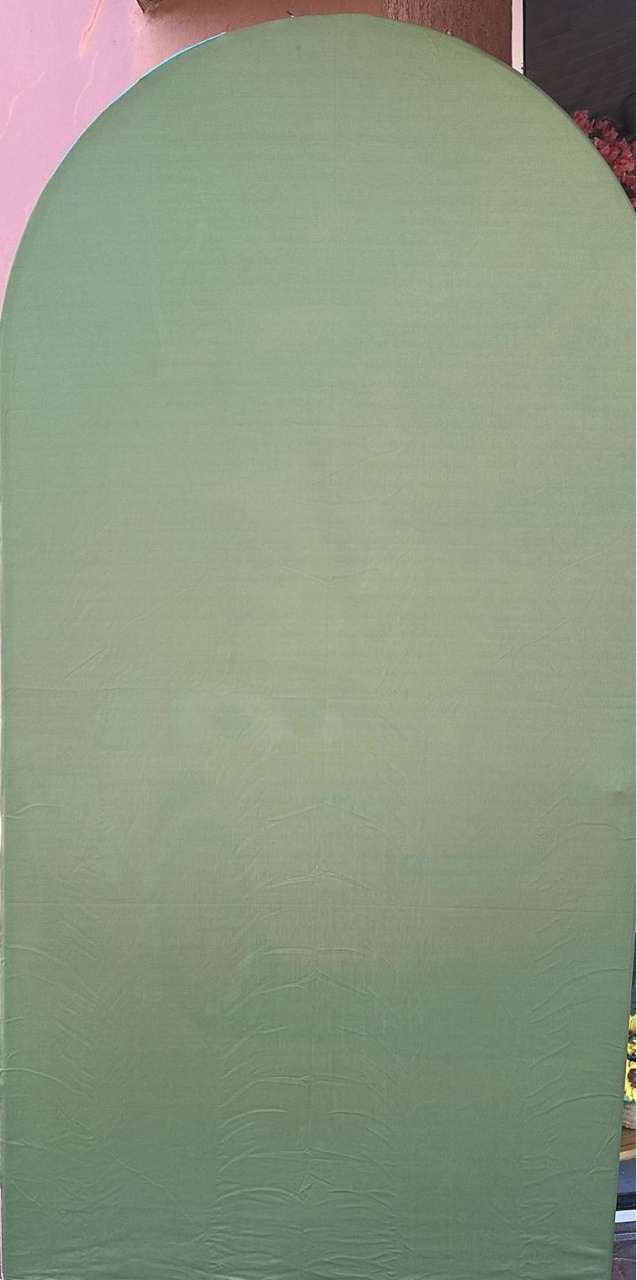 Verde Oliva  Fundo Carros Disney Mc Queen Painel Romano 200X100Cm - FOCUSEVENTOSJATAI