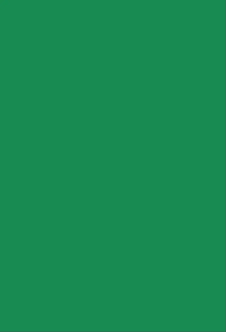 Verde Bandeira Painel Retangular 220X150Cm 01/20 - FOCUSEVENTOSJATAI