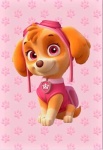 Patrulha Canina Skye Patinha Rosa Painel Retangular 220X150Cm - imagem 1