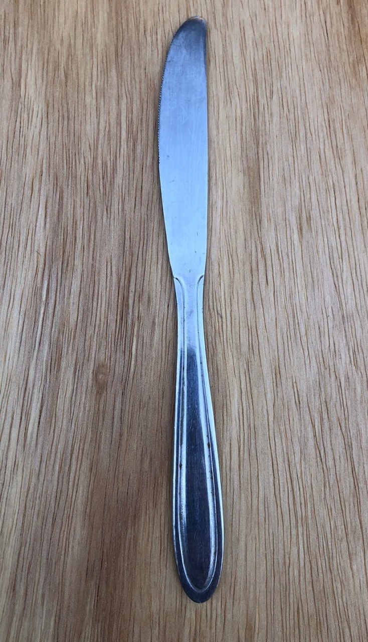 Faca de Mesa Class Inox 21Cm - FOCUSEVENTOSJATAI
